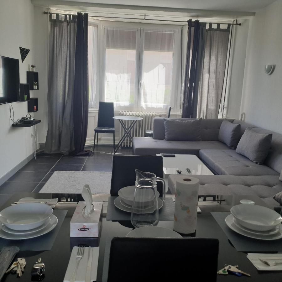 Appartement T2 Courte Duree Coup De Coeur Toute A 5 Minutes Saint-Etienne  Eksteriør billede